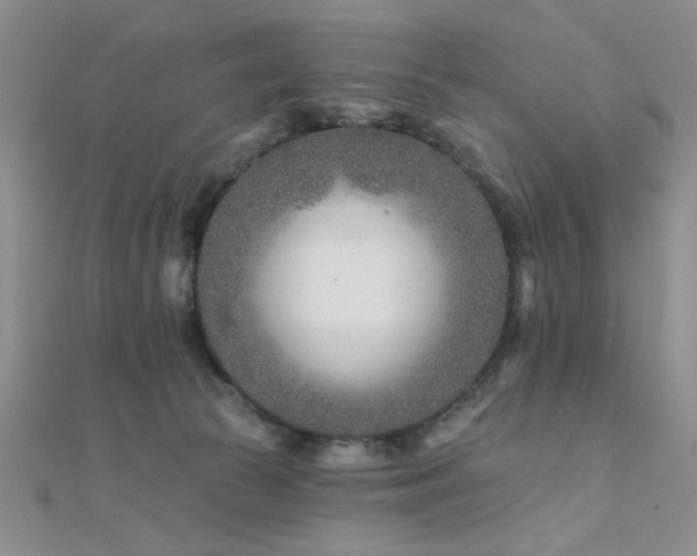 X0000112180177200908071334