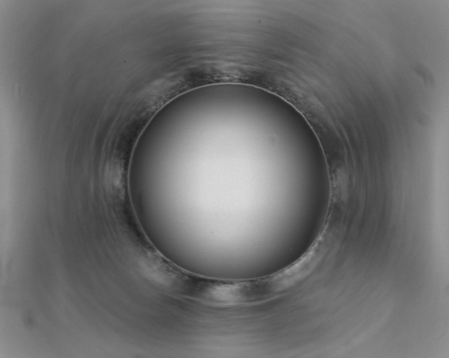 X0000112180178200908071334