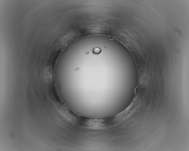 X0000112180179200908071334