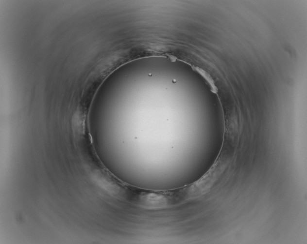 X0000112180180200908071334