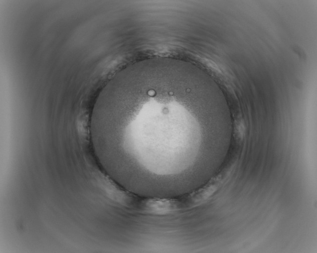 X0000112180181200908071334