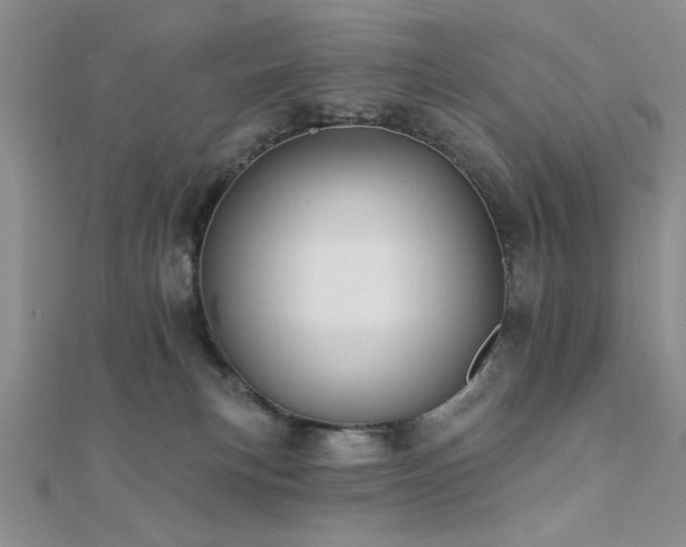 X0000112180183200908071334