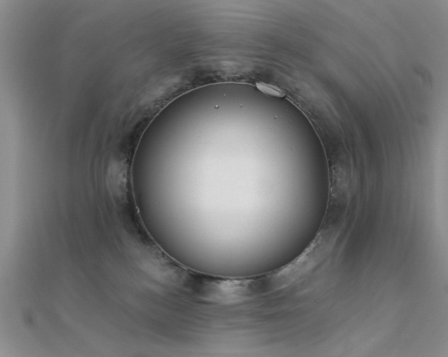 X0000112180184200908071334