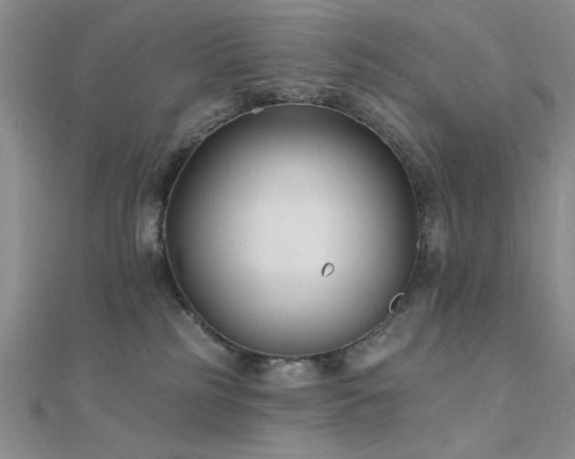 X0000112180185200908071334