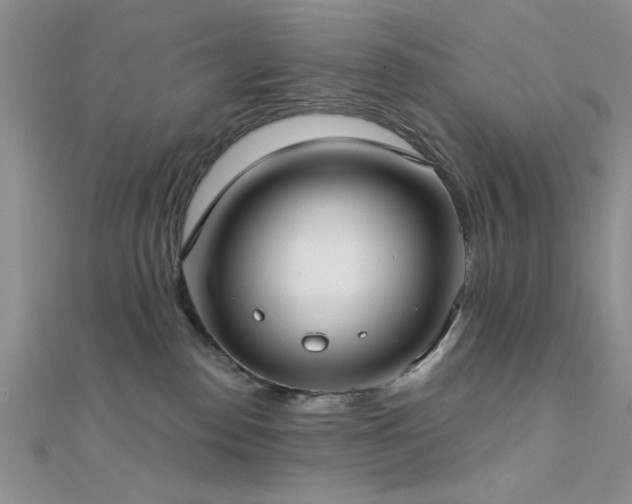 X0000112180186200908071334