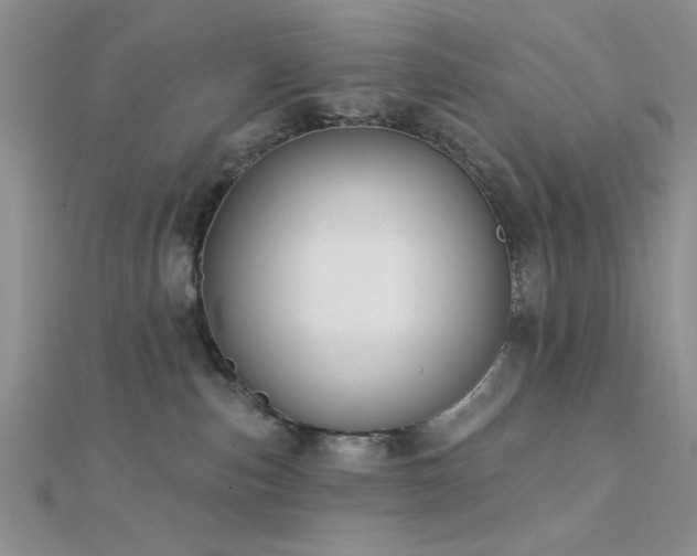 X0000112180187200908071334