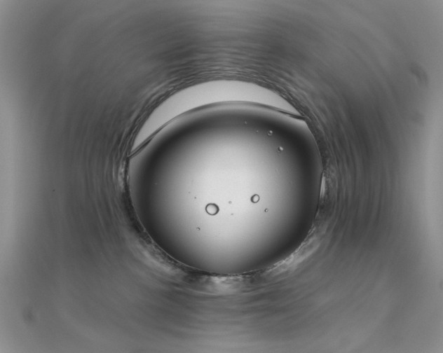 X0000112180188200908071334