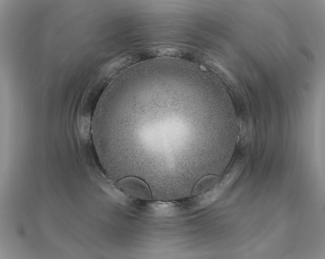 X0000112180189200908071334