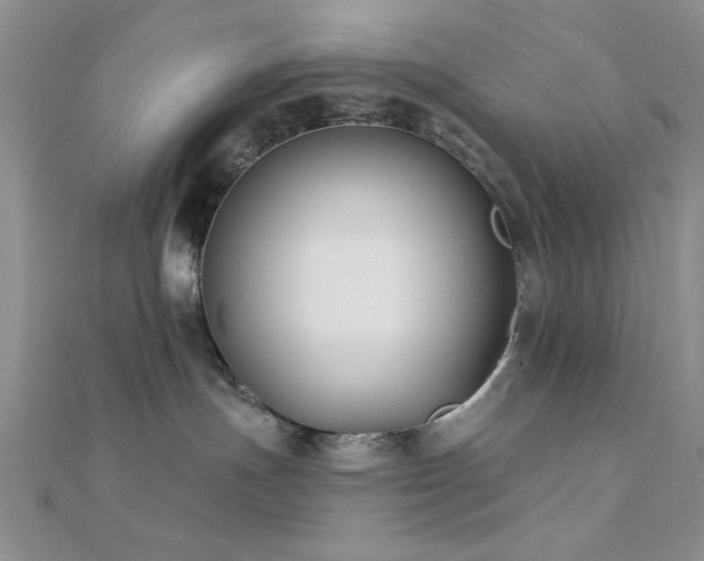 X0000112180191200908071334