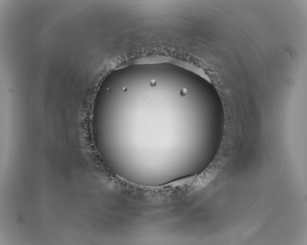 X0000112180192200908071334