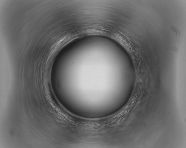 X0000112180193200908071333