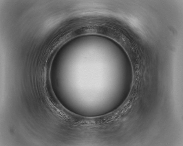 X0000112180194200908071333