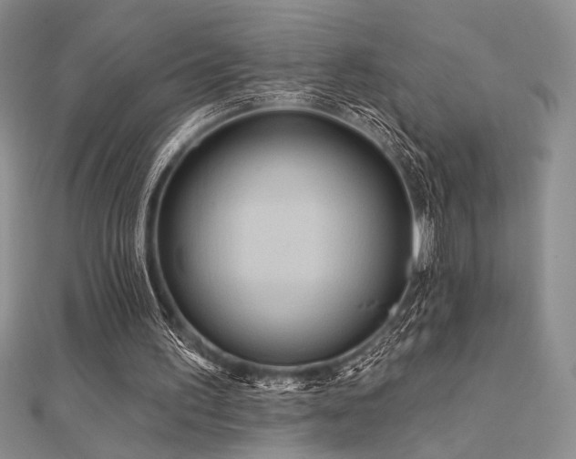 X0000112180195200908071333