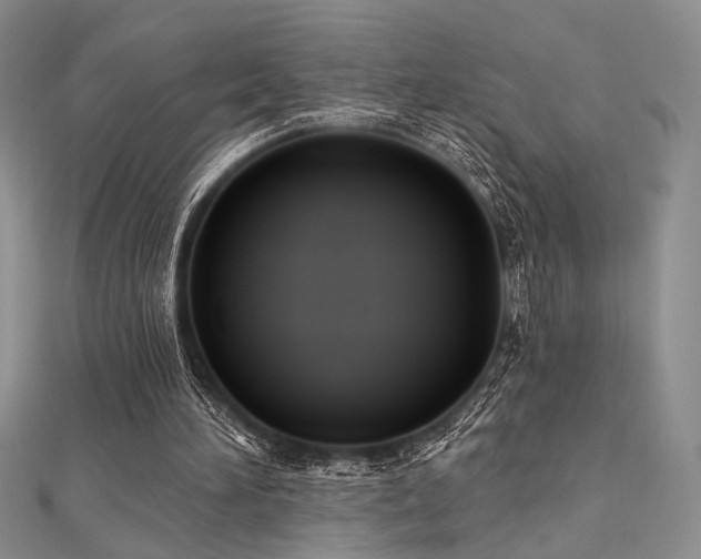 X0000112180196200908071333