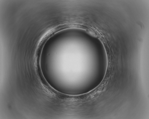 X0000112180197200908071333