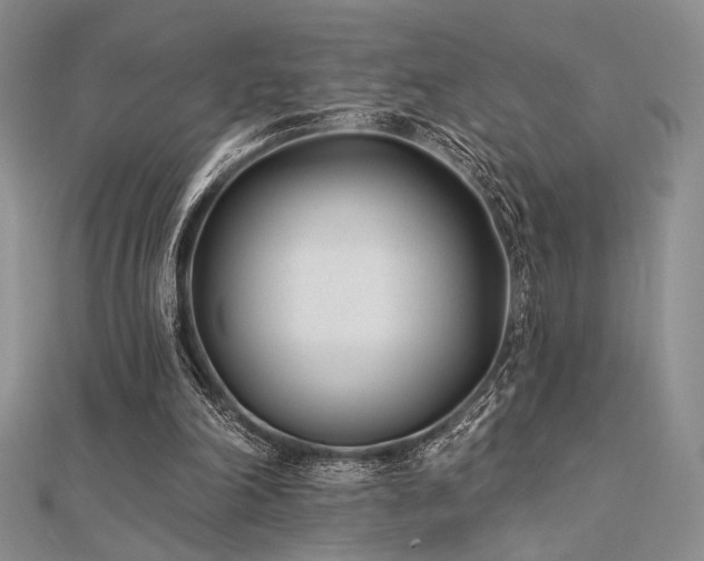 X0000112180198200908071333