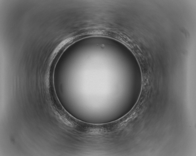 X0000112180200200908071333