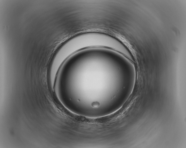 X0000112180201200908071333