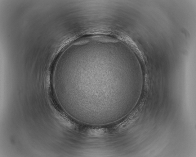 X0000112180202200908071333