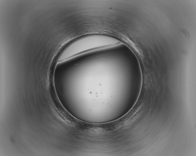 X0000112180203200908071333