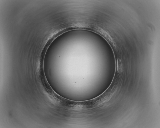 X0000112180204200908071333