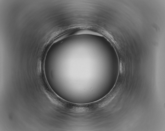 X0000112180205200908071333