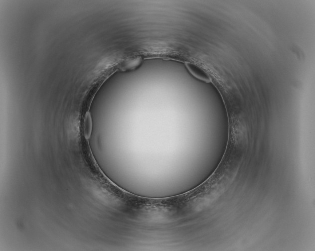 X0000112180207200908071333