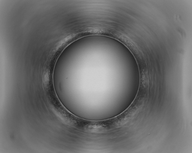 X0000112180208200908071333