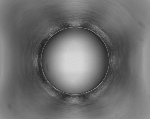 X0000112180209200908071333