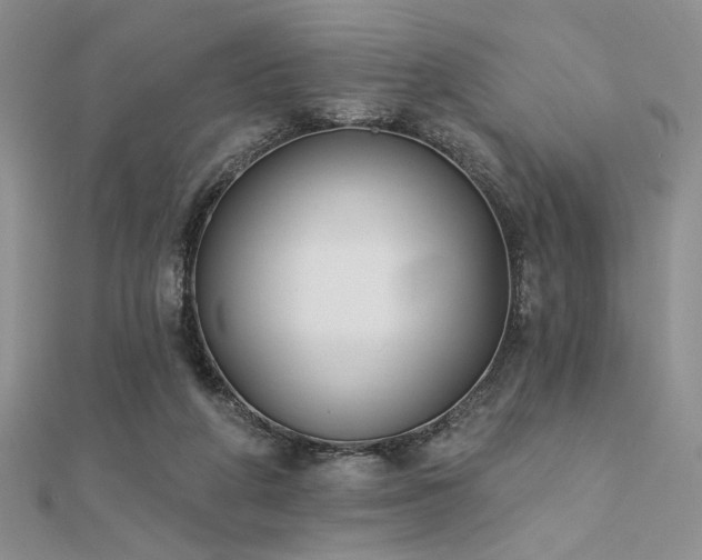 X0000112180210200908071333