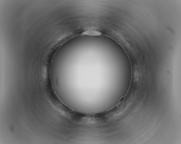 X0000112180211200908071333