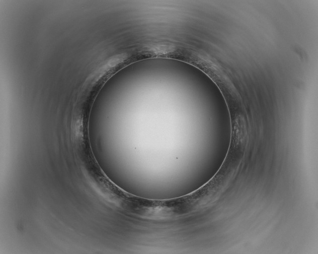 X0000112180212200908071333