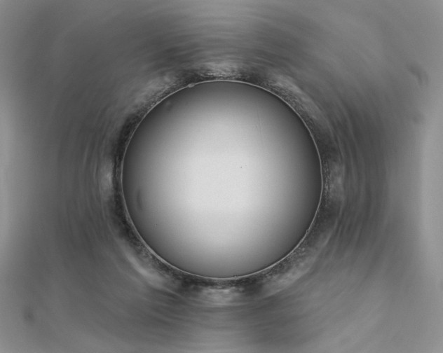 X0000112180213200908071333