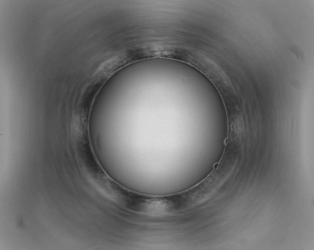 X0000112180218200908071333