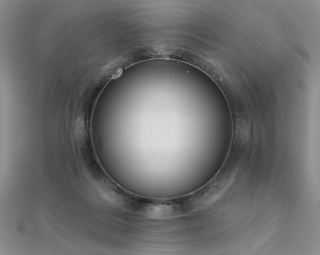 X0000112180220200908071333