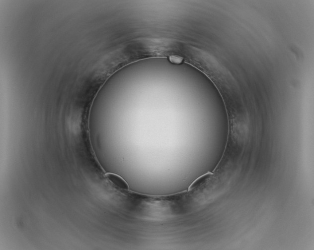 X0000112180221200908071333