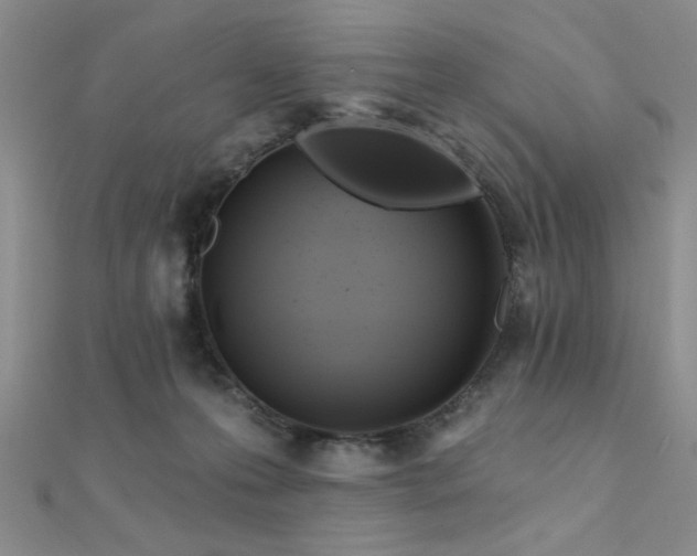 X0000112180223200908071333