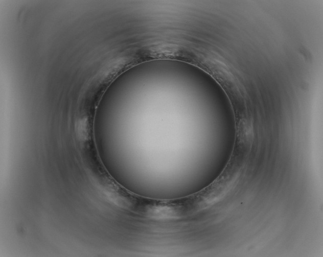 X0000112180224200908071333