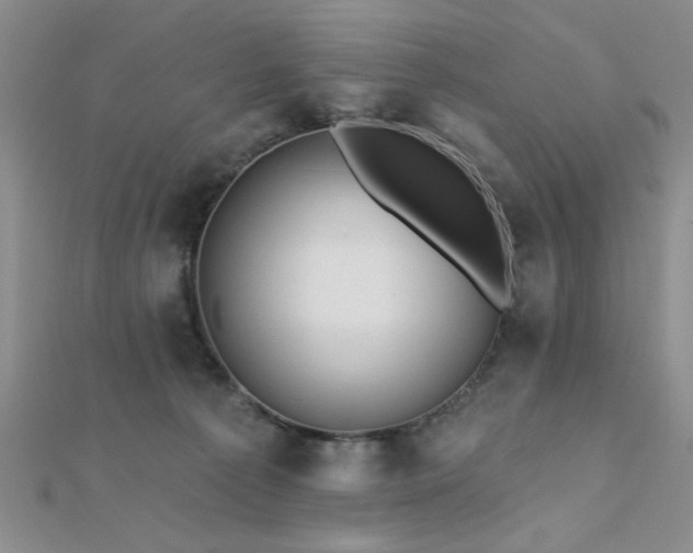 X0000112180225200908071333