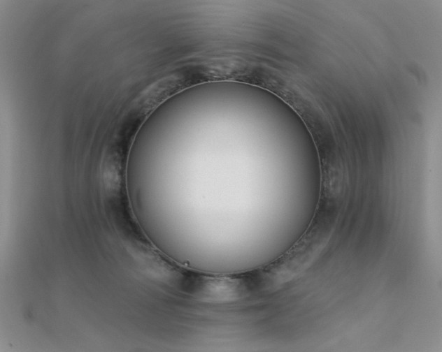 X0000112180226200908071333