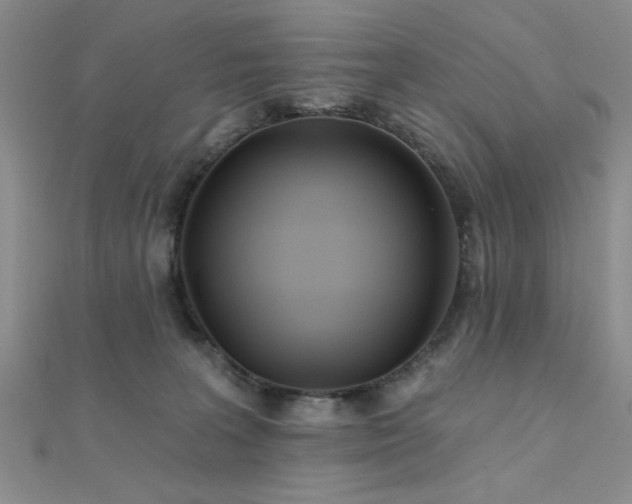 X0000112180227200908071333