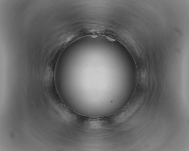 X0000112180228200908071333