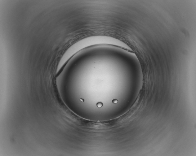 X0000112180229200908071333