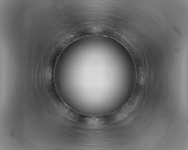 X0000112180230200908071333