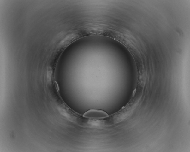 X0000112180231200908071333