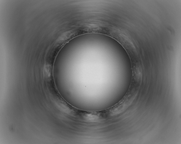 X0000112180232200908071333