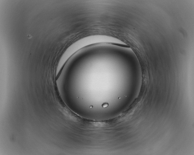 X0000112180233200908071333