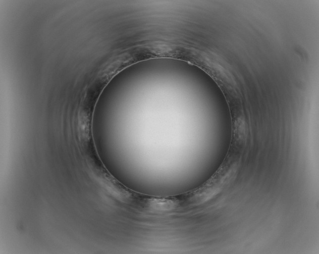 X0000112180234200908071333