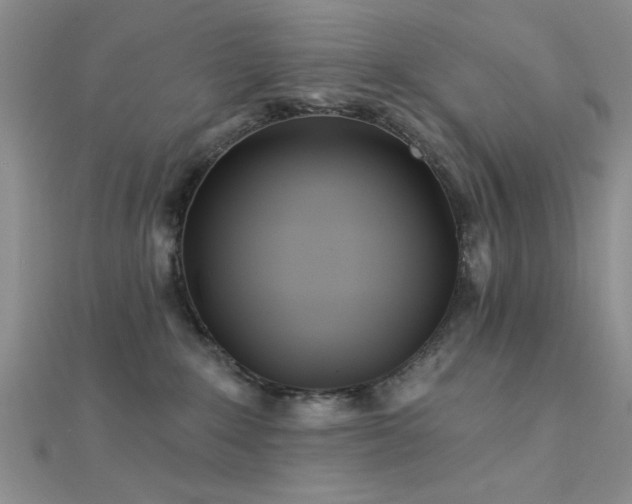 X0000112180235200908071333