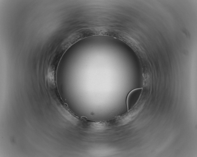 X0000112180238200908071333